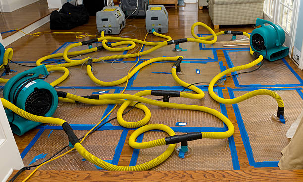 Professional Sewage Cleanup technician working in Byesville, OH